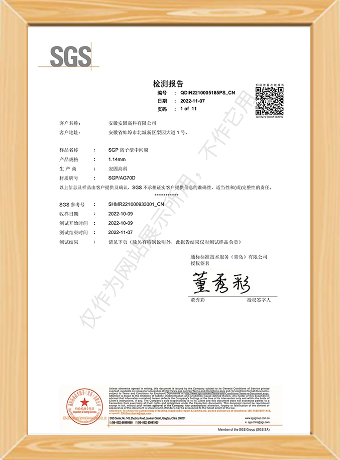 SGP ionic intermediate membrane test report